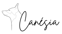 Logo de l'entreprise canésia, c'est la tête d'un chien dessiné en traits fins avec le nom Canésia en écriture calligraphique accolée à son cou