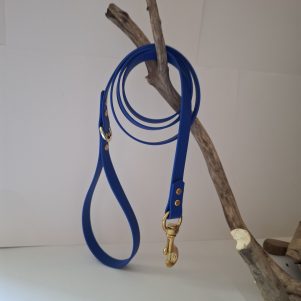 Laisse l'essentiel